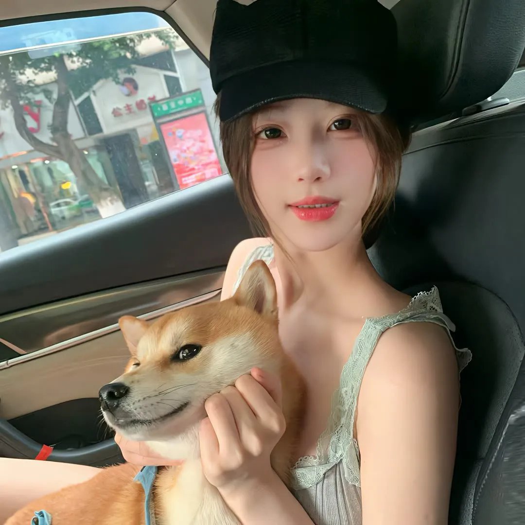 黑狐之风影