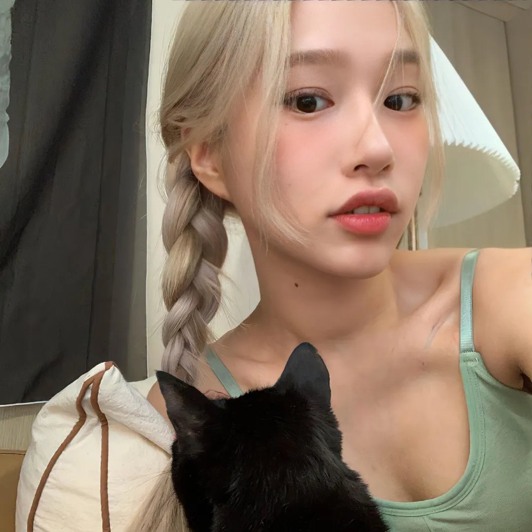 大叔与猫
